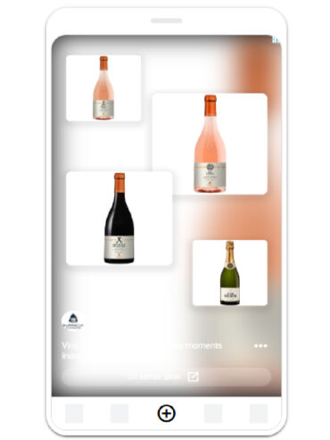 agence publicite web catalogues vin google shopping