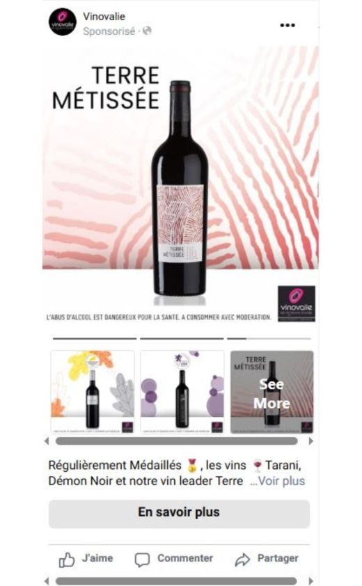 publicite web vin facebook ads instagram ads publicite web vin facebook ads instagram ads