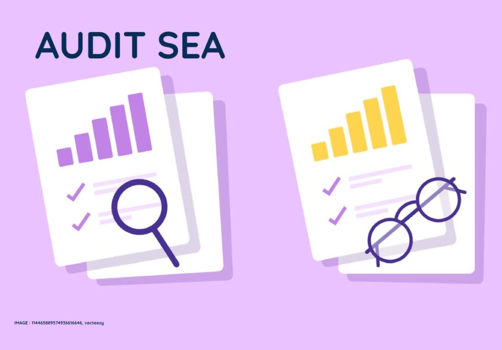 Illustration avec des statistiques et une loupe et des lunettes pour illustrer l'activité d'audit SEA